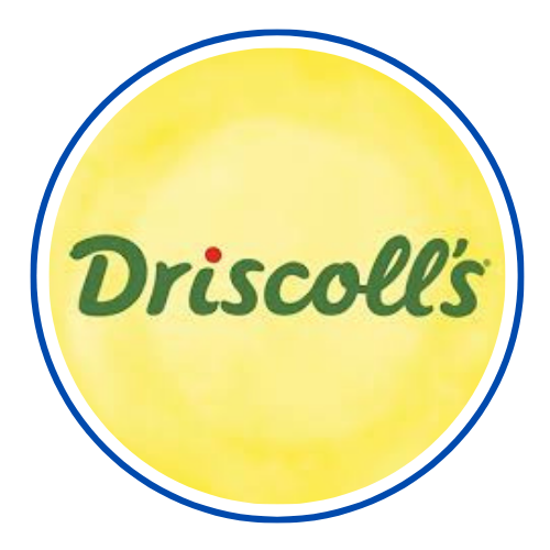Driscoll's